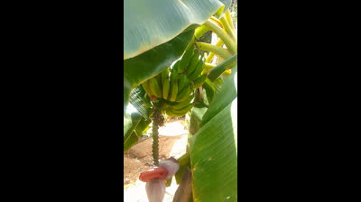 #amenonoamen #venezuela?? #jesusdenazaret