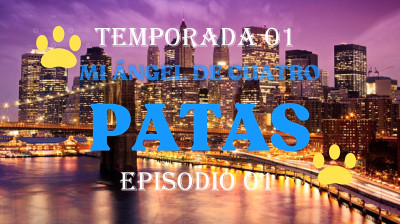 MI ÁNGEL DE CUATRO PATAS - EPISODIO 1 - LA LLEGADA DE HASHI - TEMPORADA 1