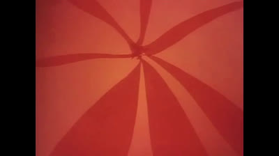 Le avventure dell Ape Magà - 86 - Proteggete Magà