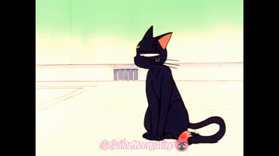 Sailor Moon Episodio 31