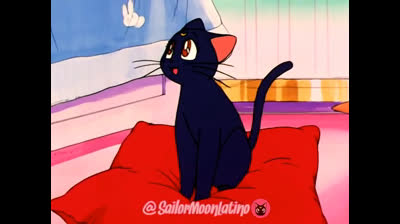 Sailor Moon Episodio 40