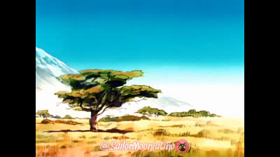 Sailor Moon Episodio 41