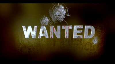 Wanted movie