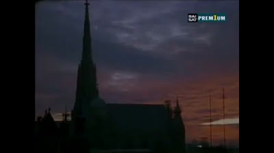 Il commissario Rex 08x13