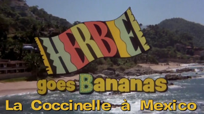 La coccinelle à Mexico_1980