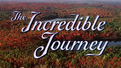 L'incroyable randonnée_1963