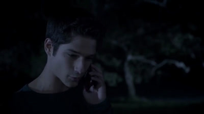 T 03 x 03 Fireflies (Español)