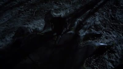 T 03 X 12 Lunar Eclipse