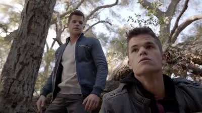 T 03 X 23 Insatiable