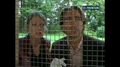 Il commissario Rex 09x03