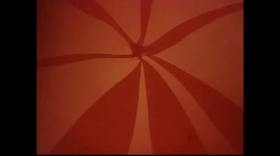 Le avventure dell Ape Magà - 91 - Nelle braccia della mamma