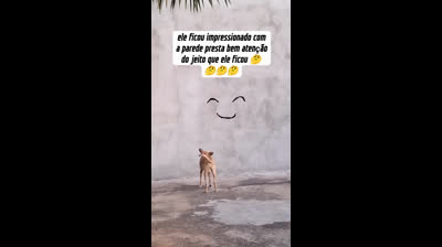 O CARAMELO NÃO ENTENDEU !!! WHAT IS THIS ?