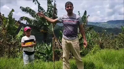 “Sembramos Vida, Encontramos Memoria y nos arrancaron los árboles”