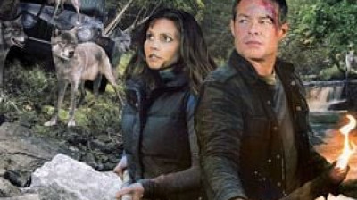 Ensemble face au danger (2011)